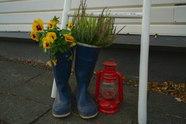 Wellingtons